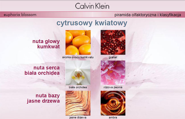 http://redomcosmetics.com/image_net/Calvin-Klein-euphoria-blossom.jpg